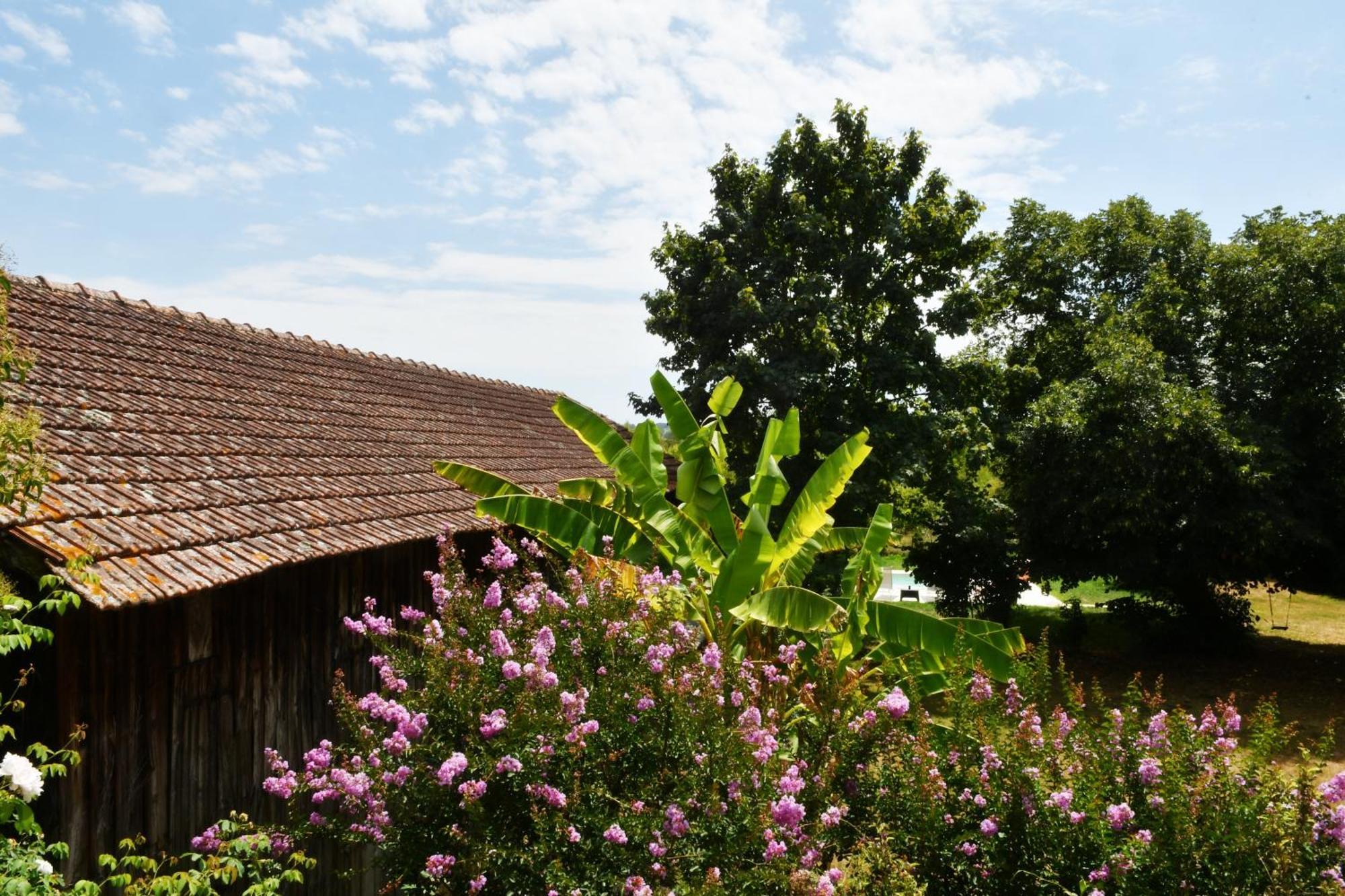 Les bergeronnettes - Chambres d'Hôtes Bergerac Exterior foto